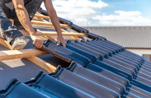 Couverture - La Harengère